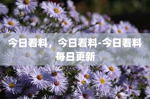 今日看料，今日看料-今日看料每日更新
