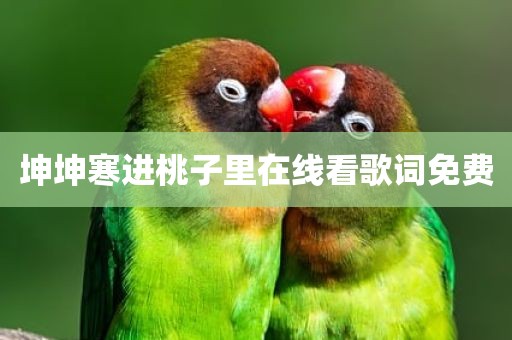 坤坤寒进桃子里在线看歌词免费