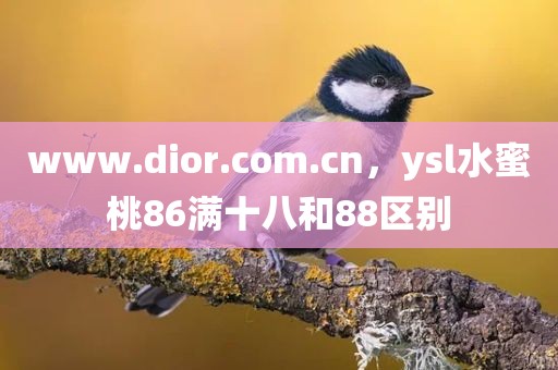 www.dior.com.cn，ysl水蜜桃86满十八和88区别