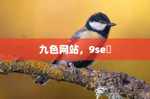 九色网站，9se 