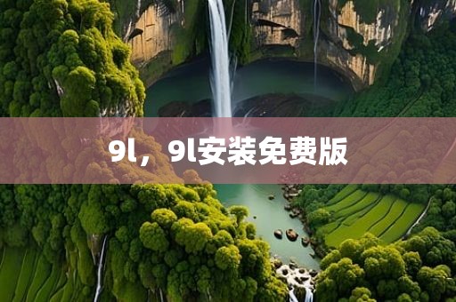9l，9l安装免费版