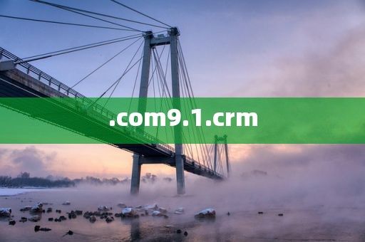 .com9.1.crm