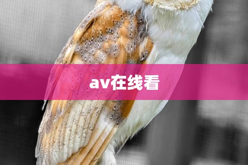 av在线看