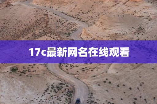 17c最新网名在线观看