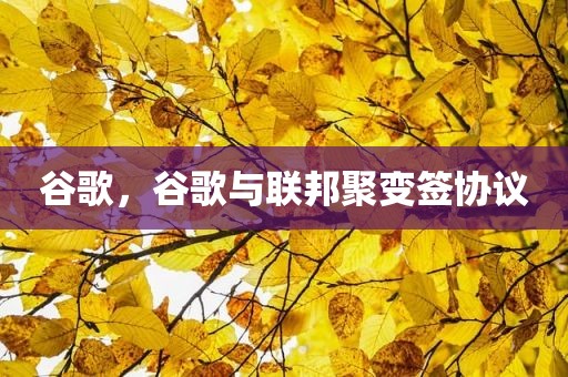 谷歌，谷歌与联邦聚变签协议