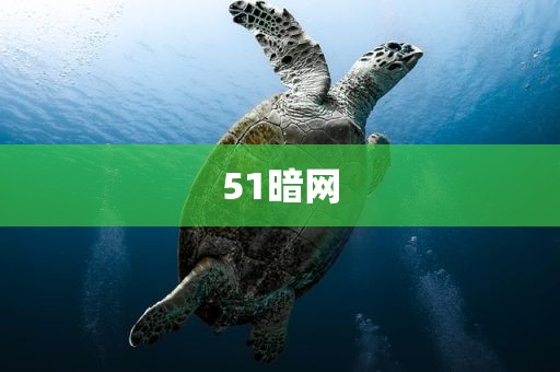 51暗网