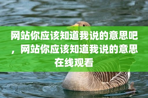 网站你应该知道我说的意思吧，网站你应该知道我说的意思在线观看