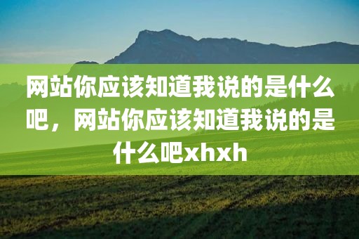 网站你应该知道我说的是什么吧，网站你应该知道我说的是什么吧xhxh