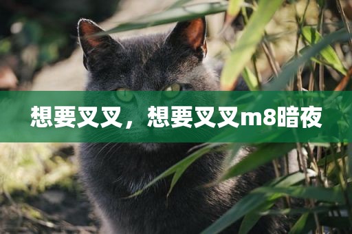想要叉叉，想要叉叉m8暗夜