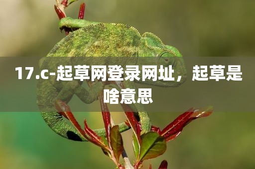 17.c-起草网登录网址，起草是啥意思