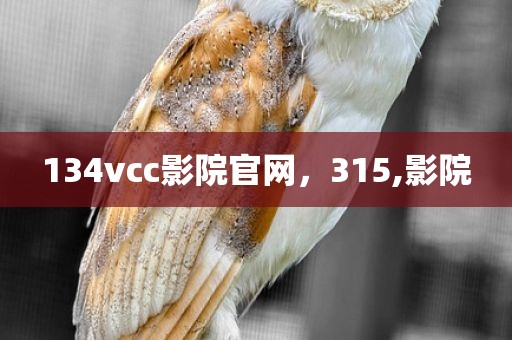 134vcc影院官网，315,影院