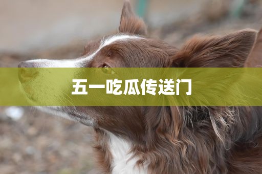 五一吃瓜传送门