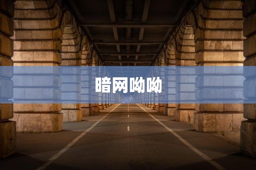 暗网呦呦