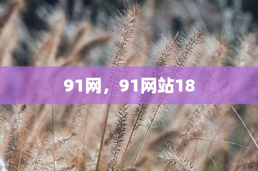 91网，91网站18