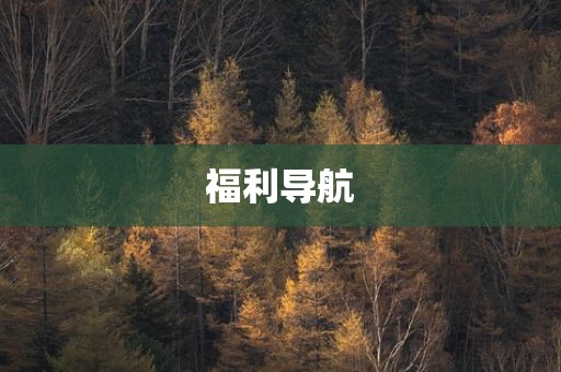 福利导航