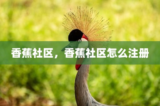 香蕉社区，香蕉社区怎么注册