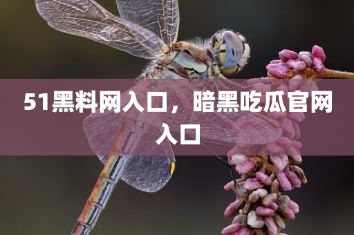 51黑料网入口，暗黑吃瓜官网入口