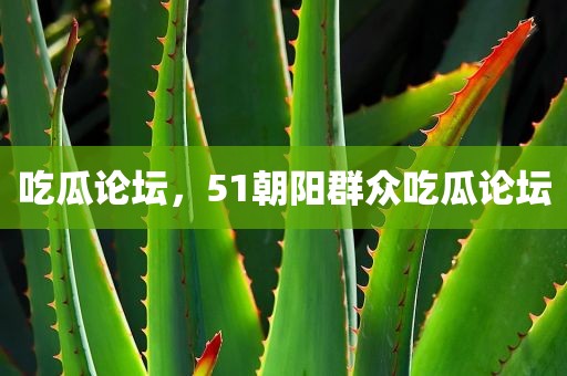吃瓜论坛，51朝阳群众吃瓜论坛