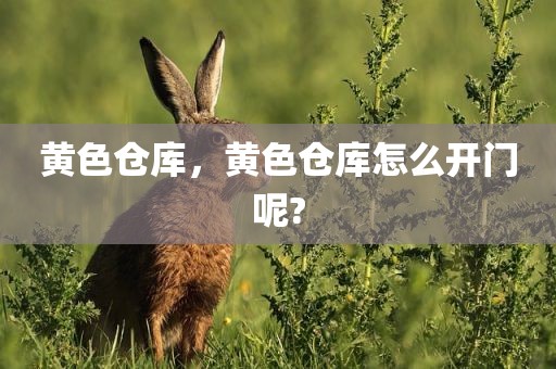 黄色仓库，黄色仓库怎么开门呢?