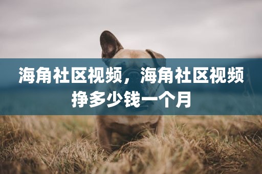 海角社区视频，海角社区视频挣多少钱一个月