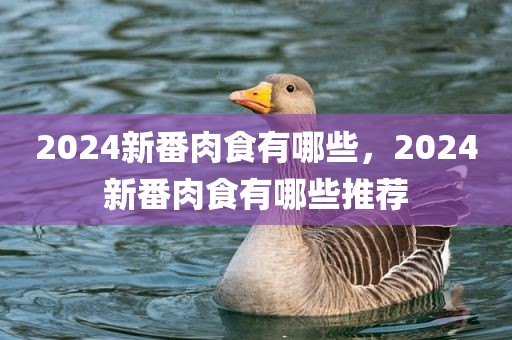2024新番肉食有哪些，2024新番肉食有哪些推荐