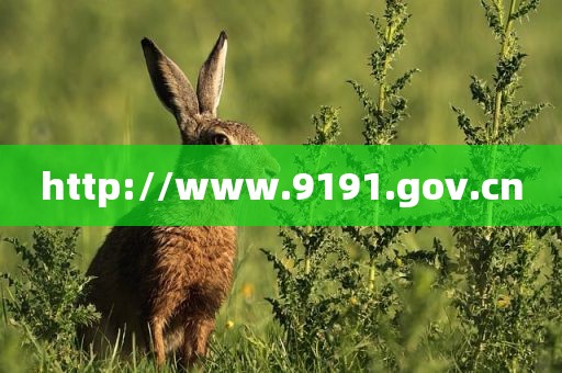 http://www.9191.gov.cn