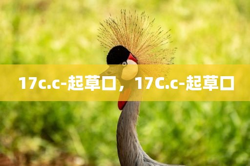17c.c-起草口，17C.c-起草口