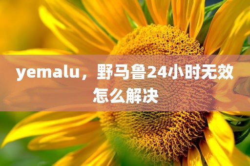 yemalu，野马鲁24小时无效怎么解决