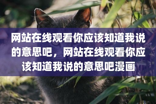 网站在线观看你应该知道我说的意思吧，网站在线观看你应该知道我说的意思吧漫画