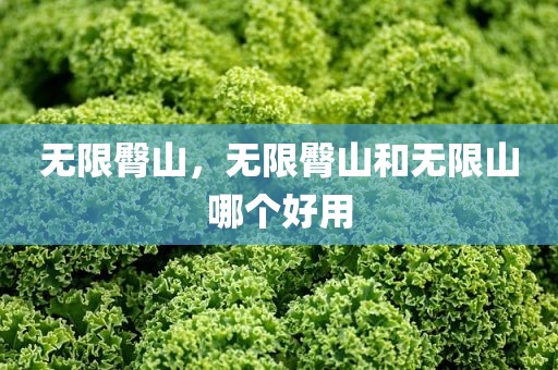 无限臀山，无限臀山和无限山哪个好用