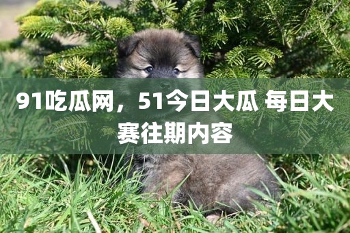 91吃瓜网，51今日大瓜 每日大赛往期内容
