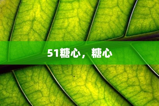 51糖心，糖心