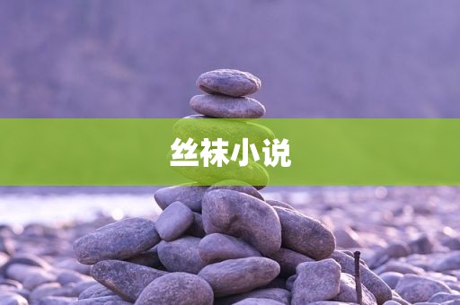 丝袜小说