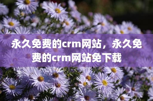 永久免费的crm网站，永久免费的crm网站免下载