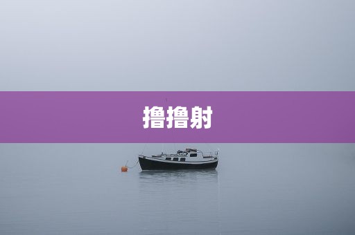 撸撸射