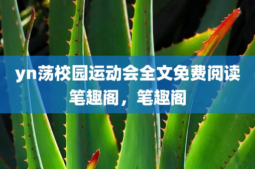 yn荡校园运动会全文免费阅读笔趣阁，笔趣阁