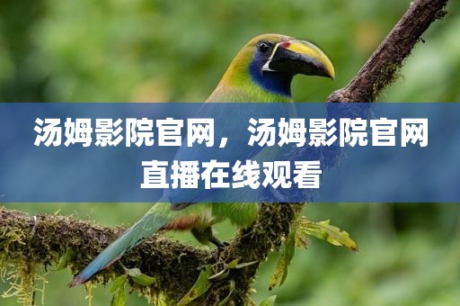 汤姆影院官网，汤姆影院官网直播在线观看