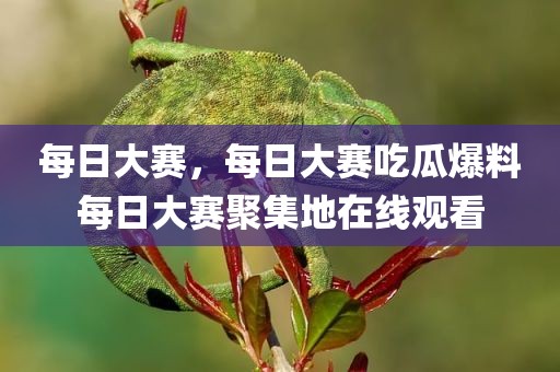 每日大赛，每日大赛吃瓜爆料每日大赛聚集地在线观看