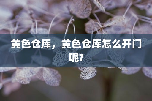 黄色仓库，黄色仓库怎么开门呢?