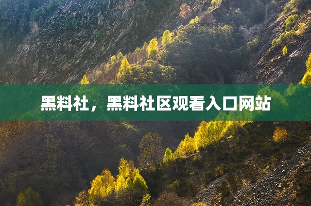 黑料社，黑料社区观看入口网站