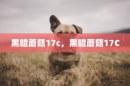 黑暗蘑菇17c，黑暗蘑菇17C