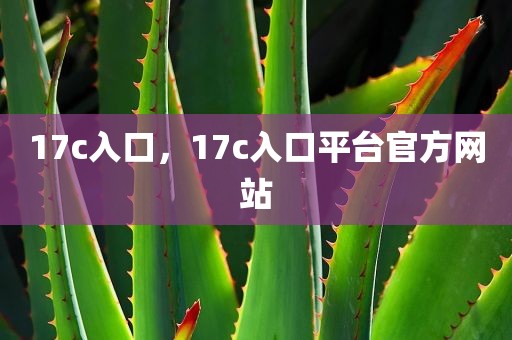 17c入口，17c入口平台官方网站