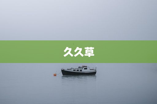 久久草