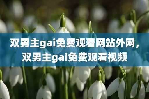 双男主gai免费观看网站外网，双男主gai免费观看视频
