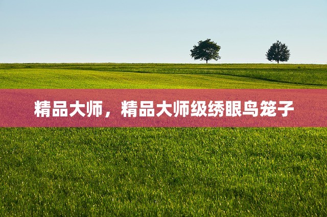 精品大师，精品大师级绣眼鸟笼子