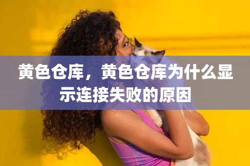 黄色仓库，黄色仓库为什么显示连接失败的原因