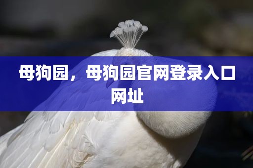 母狗园，母狗园官网登录入口网址