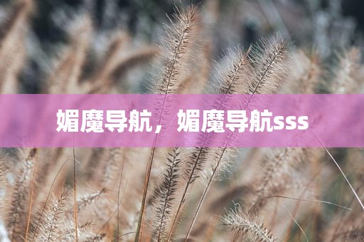 媚魔导航，媚魔导航sss