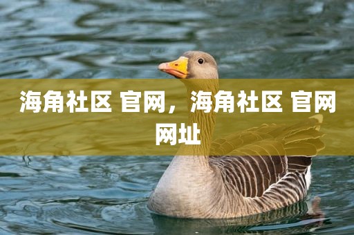 海角社区 官网，海角社区 官网网址