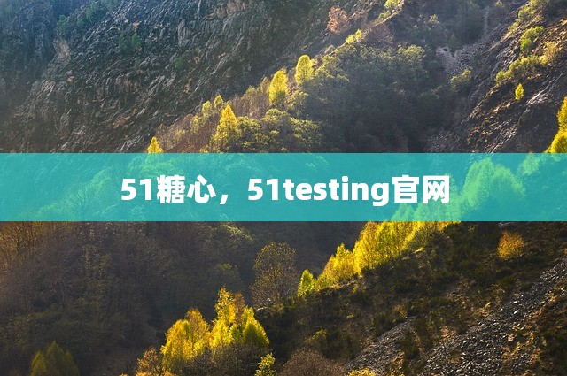 51糖心，51testing官网